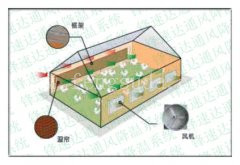 夏季养殖必备风机和水帘湿帘来通