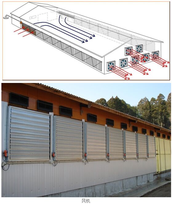 猪场纵向通风系统